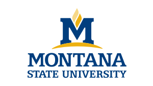 Montana State University