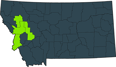 Map showing counties served for Missoula