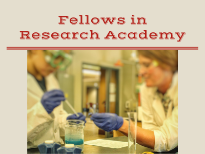 Fellows in Research